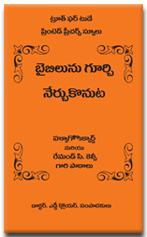 bible telugu pdf