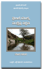 http://www.biblecourses.com/telugu/images/covers/bible_survey.png